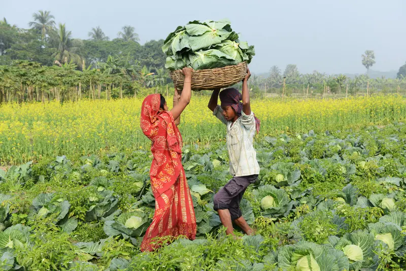 Farmer training
